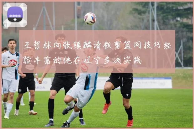 王哲林向张镇麟请教剪篮网技巧经验丰富的他在辽宁多次实践