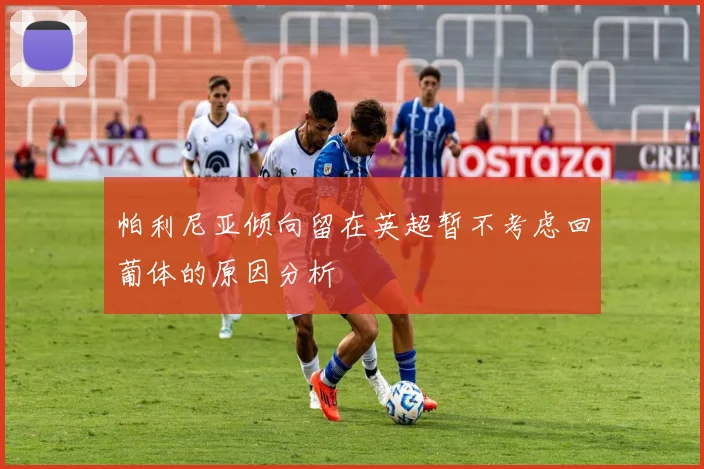 帕利尼亚倾向留在英超暂不考虑回葡体的原因分析